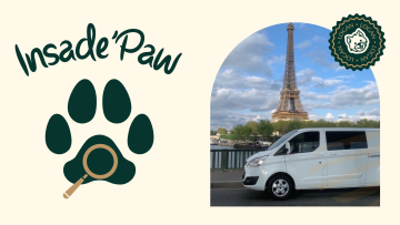 Garantir la sécurité et le confort des chiens pendant le transport