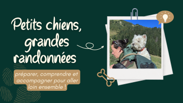 Petits chiens, grandes randonnées : préparer, comprendre et accompagner pour aller loin ensemble !