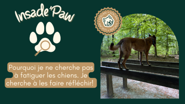 🐾 INSIDE'PAW | « Pourquoi je ne cherche pas à fatiguer les chiens. Je cherche à les faire réfléchir. »