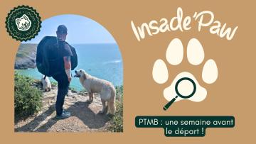 Inside'Paw – PTMB 