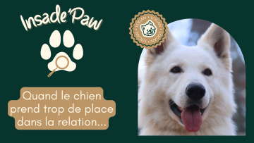  🎤 Inside Paw : quand le chien prend trop de place dans la relation