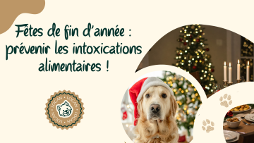 Chiens et fêtes de fin d’année : prévenir les intoxications alimentaires