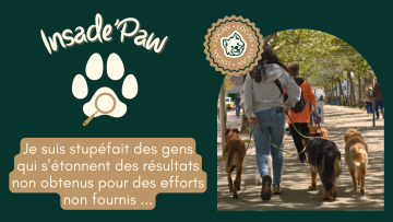 🐾 Inside Paw :  Je suis stupéfait des gens qui s’étonnent des résultats non obtenus pour des efforts non fournis ...