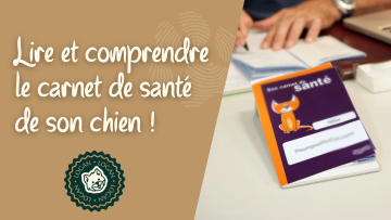 📖 Lire et comprendre le carnet de santé de son chien