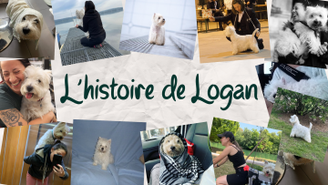 L’Histoire de Logan