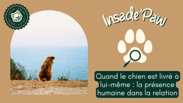 🎤 Inside Paw : quand le chien est livré à lui-même : la présence humaine dans la relation
