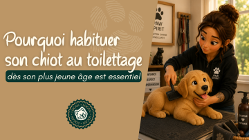 🐾 Pourquoi habituer son chiot au toilettage dès son plus jeune âge est essentiel 
