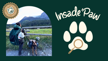 Inside Paw – L’importance d’apprendre le portage pour les chiens, peu importe leur taille