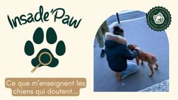 Inside'Paw – Ce que m’enseignent les chiens qui doutent