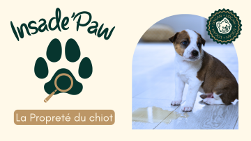 🎙 Inside Paw – Propreté du chiot