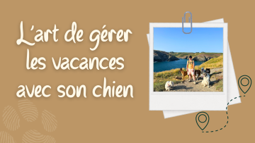 L’art de gérer les vacances avec son chien : équilibre entre aventure et éducation !
