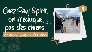 Chez Paw Spirit, on n’éduque pas des chiens : on accompagne des duos !