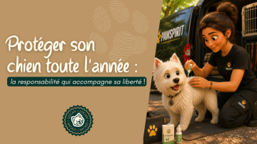 Protéger son chien toute l'année : la responsabilité qui accompagne sa liberté