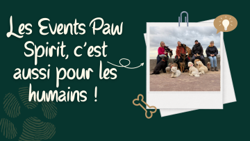 🐾 Les Events Paw Spirit : pas seulement pour les chiens… mais aussi pour leurs humains ! 💚
