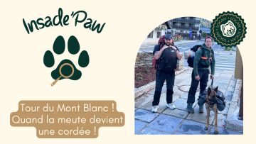 🐾 Inside'Paw: Tour du Mont Blanc = Quand la meute devient une cordée !