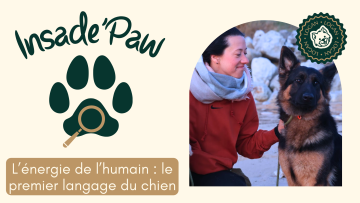 🐾 INSIDE PAW – L’énergie de l’humain : le premier langage du chien