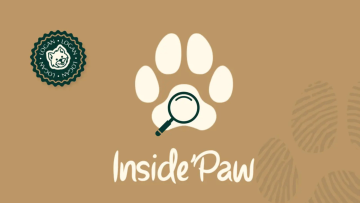 Inside’Paw : Immersion canine sur l’Île de Ré 