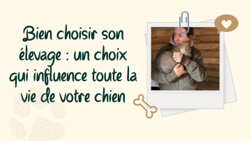 🐾 Bien choisir son élevage : un choix qui influence toute la vie de votre chien