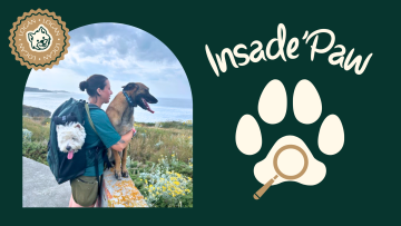 Inside'Paw – Préparer son chien pour la randonnée et le bivouac !