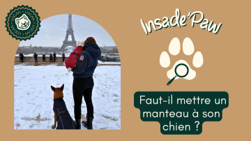 🐾 INSIDE PAW — Faut-il mettre un manteau à son chien ?