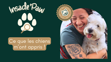 🐾 INSIDE'PAW : Ce que les chiens m’ont appris