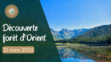 À la découverte de la forêt d'Orient 