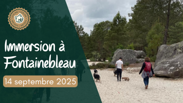 Immersion à Fontainebleau