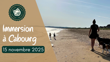 Immersion à Cabourg