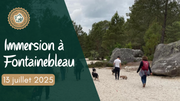 Immersion à Fontainebleau
