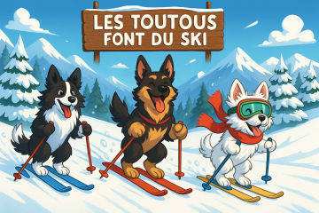 Les toutous font du ski ! 