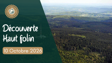 Découverte du Haut Folin