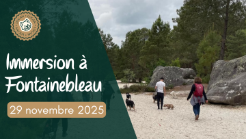 Fontainebleau : retour aux sources