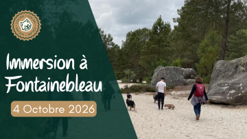 Immersion à Fontainebleau