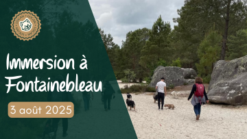 Immersion à Fontainebleau