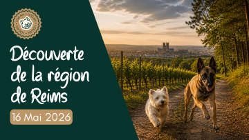 À la découverte de la région de Reims