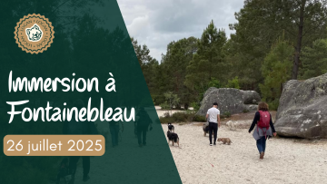 Immersion à Fontainebleau