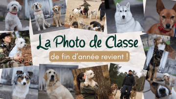 Photo de classe 2025