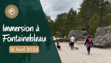 Immersion à Fontainebleau